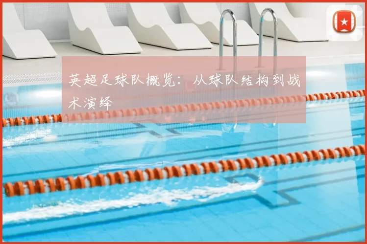 英超足球队概览:从球队结构到战术演绎